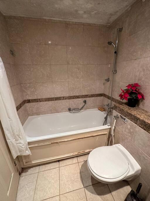A 2 Standard Bedrooms Flat ロンドン エクステリア 写真
